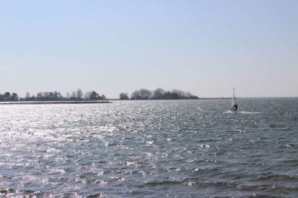 IMG_6710
