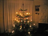 Weihnachtsbaum